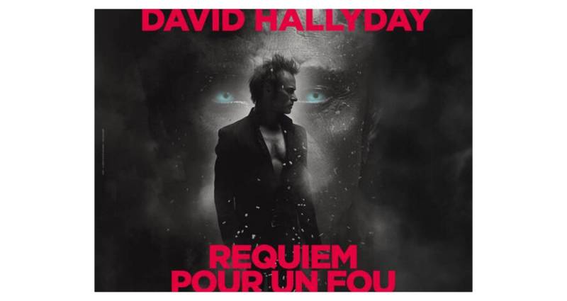 David Hallyday au Dôme de Marseille